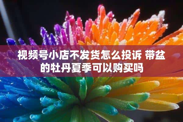 视频号小店不发货怎么投诉 带盆的牡丹夏季可以购买吗