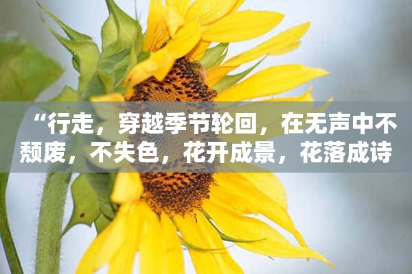 “行走，穿越季节轮回，在无声中不颓废，不失色，花开成景，花落成诗”是什么意思？