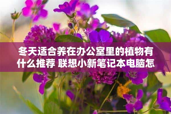 冬天适合养在办公室里的植物有什么推荐 联想小新笔记本电脑怎么安装正版植物大战僵尸