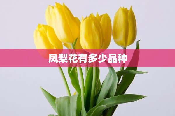 凤梨花有多少品种