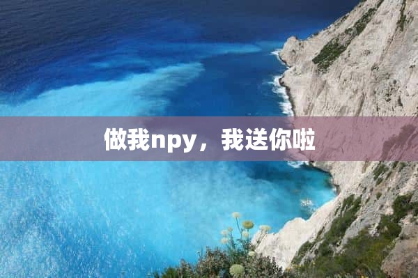 做我npy，我送你啦