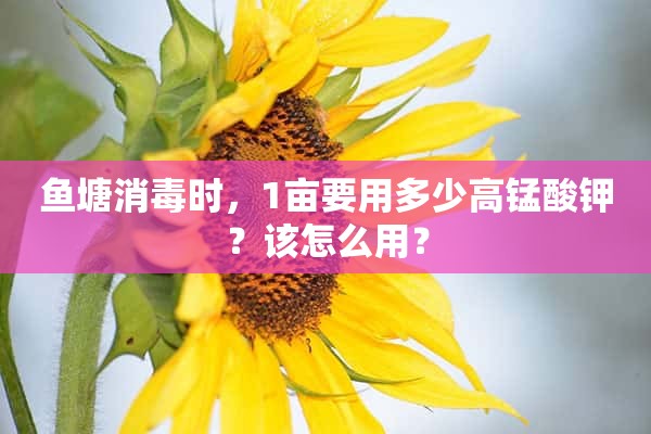 鱼塘消毒时，1亩要用多少高锰酸钾？该怎么用？