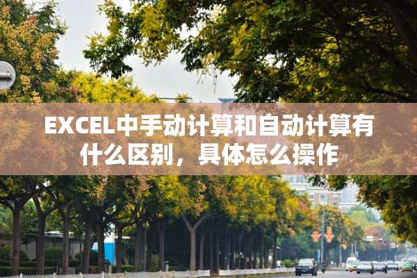 EXCEL中手动计算和自动计算有什么区别，具体怎么操作