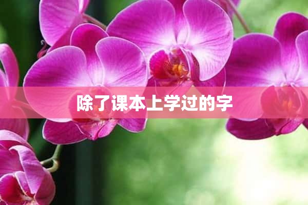 除了课本上学过的字