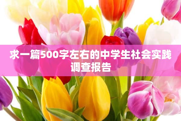 求一篇500字左右的中学生社会实践调查报告