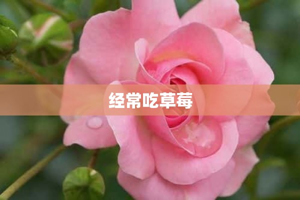 经常吃草莓