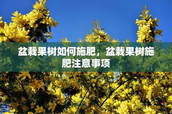 盆栽果树如何施肥，盆栽果树施肥注意事项