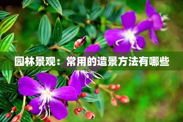 园林景观：常用的造景方法有哪些