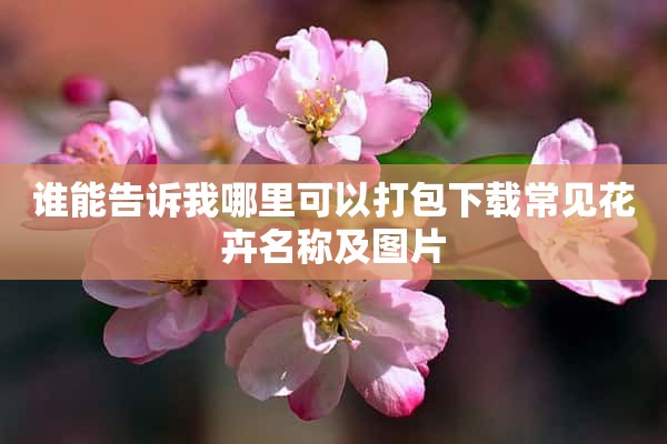 谁能告诉我哪里可以打包下载常见花卉名称及图片