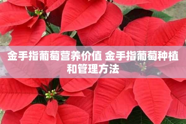 金手指葡萄营养价值 金手指葡萄种植和管理方法