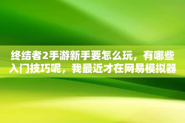 终结者2手游新手要怎么玩，有哪些入门技巧呢，我最近才在网易模拟器上玩终结者2。