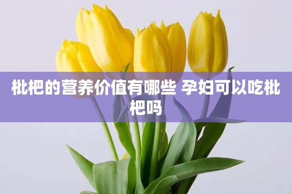 枇杷的营养价值有哪些 孕妇可以吃枇杷吗