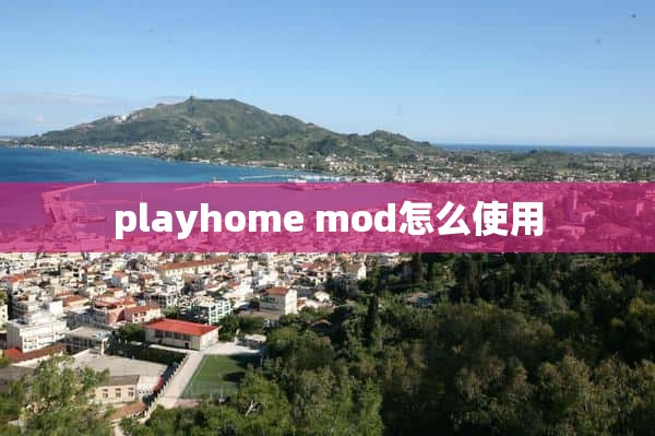 playhome mod怎么使用