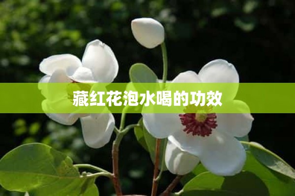 藏红花泡水喝的功效