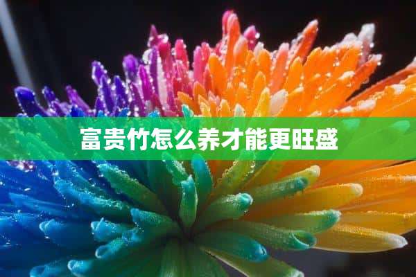 富贵竹怎么养才能更旺盛