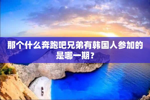 那个什么奔跑吧兄弟有韩国人参加的是哪一期？