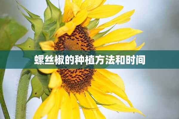 螺丝椒的种植方法和时间