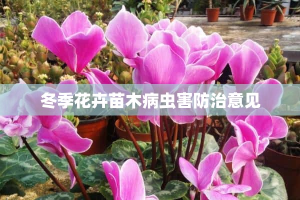 冬季花卉苗木病虫害防治意见