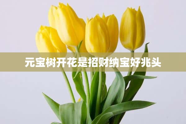 元宝树开花是招财纳宝好兆头