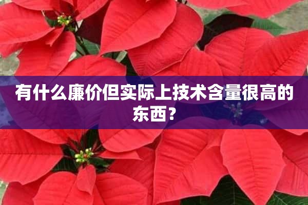 有什么廉价但实际上技术含量很高的东西？