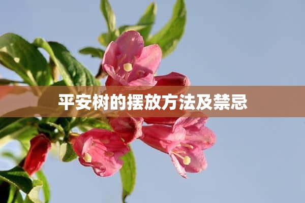 平安树的摆放方法及禁忌