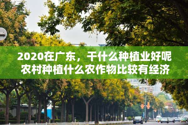 2020在广东，干什么种植业好呢 农村种植什么农作物比较有经济效益