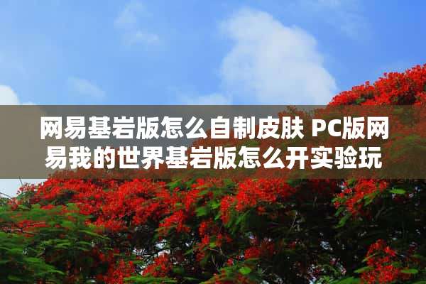 网易基岩版怎么自制皮肤 PC版网易我的世界基岩版怎么开实验玩法