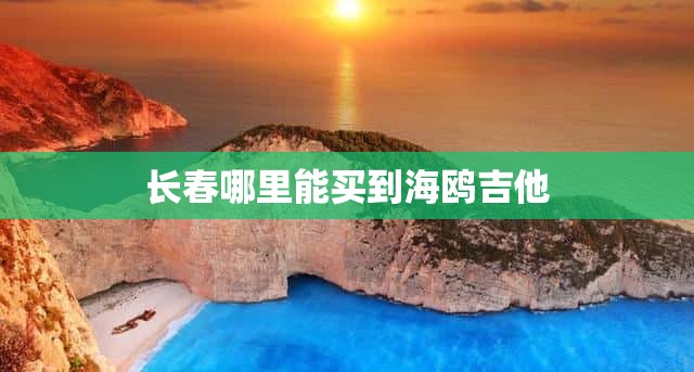 长春哪里能买到海鸥吉他