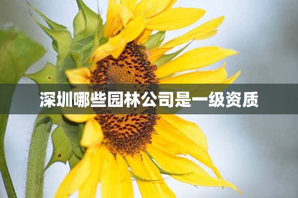 深圳哪些园林公司是一级资质