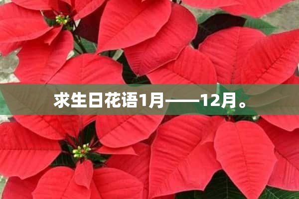 求生日花语1月——12月。