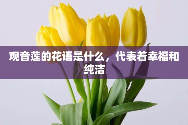 观音莲的花语是什么，代表着幸福和纯洁