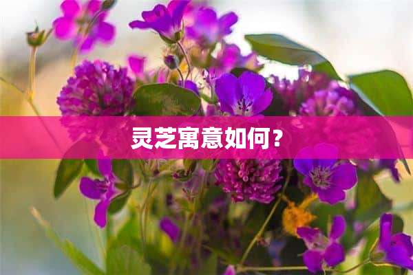 灵芝寓意如何？