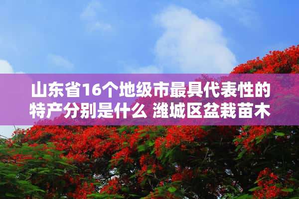 山东省16个地级市最具代表性的特产分别是什么 潍城区盆栽苗木售价多少钱