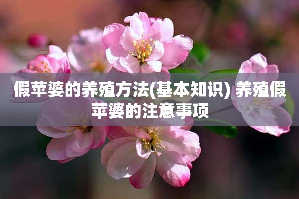 假苹婆的养殖方法(基本知识) 养殖假苹婆的注意事项