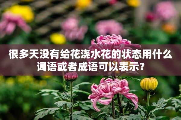 很多天没有给花浇水花的状态用什么词语或者成语可以表示？