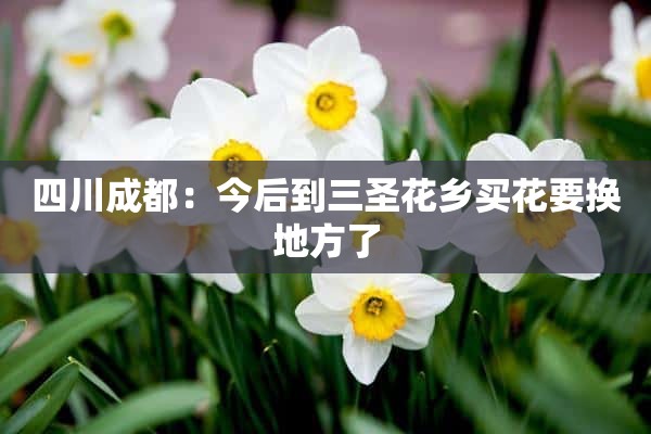 四川成都：今后到三圣花乡买花要换地方了