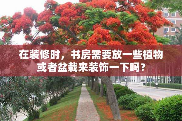 在装修时，书房需要放一些植物或者盆栽来装饰一下吗？