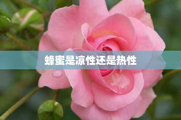 蜂蜜是凉性还是热性