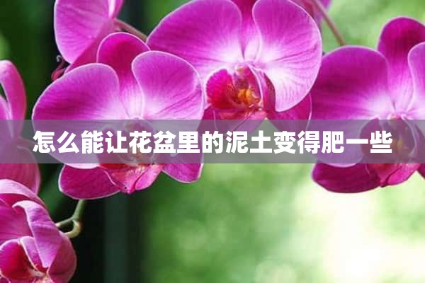 怎么能让花盆里的泥土变得肥一些