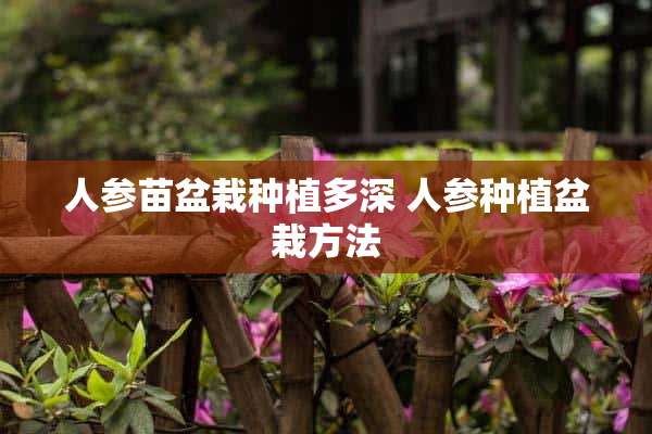 人参苗盆栽种植多深 人参种植盆栽方法