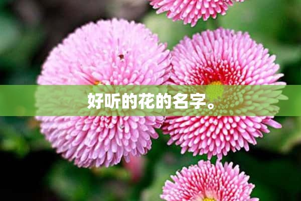 好听的花的名字。