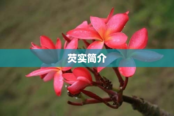 芡实简介