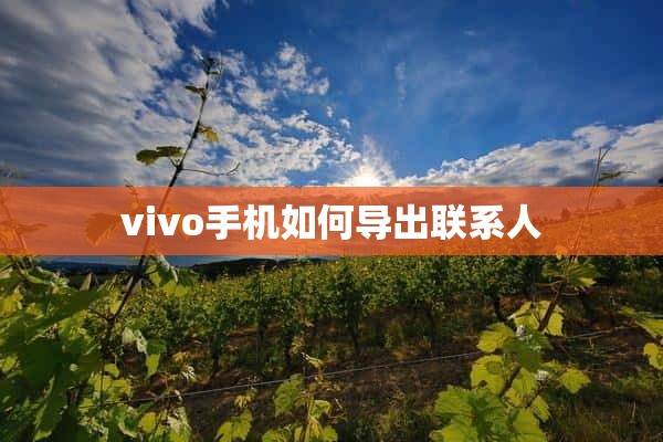 vivo手机如何导出联系人