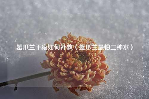 蟹爪兰干瘪如何补救（蟹爪兰最怕三种水） 花卉