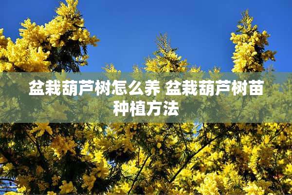 盆栽葫芦树怎么养 盆栽葫芦树苗种植方法