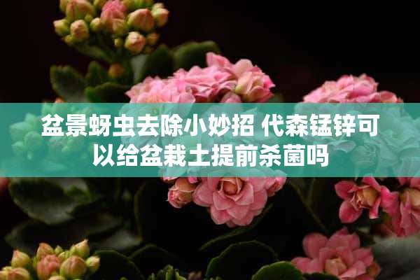 盆景蚜虫去除小妙招 代森锰锌可以给盆栽土提前杀菌吗