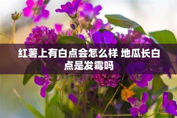 红薯上有白点会怎么样 地瓜长白点是发霉吗