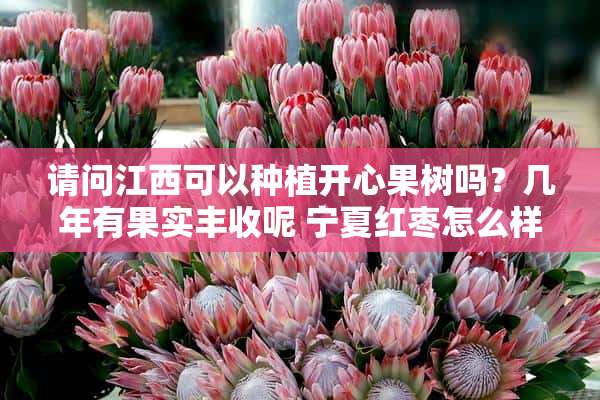 请问江西可以种植开心果树吗？几年有果实丰收呢 宁夏红枣怎么样