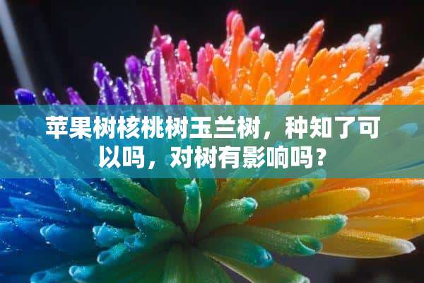 苹果树核桃树玉兰树，种知了可以吗，对树有影响吗？