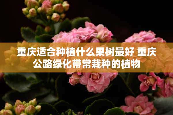 重庆适合种植什么果树最好 重庆公路绿化带常栽种的植物